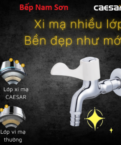 Alternative view of Vòi Lạnh Gắn Tường WP027C