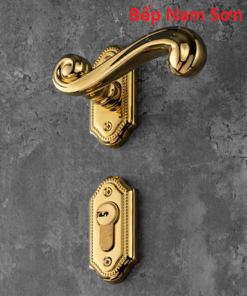 Khoá tay nắm phân thể HC 85 PRINCE PVD GOLD - Ảnh 4